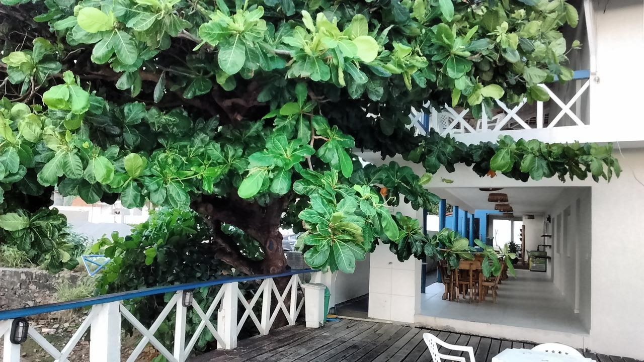 Dunas De Marape Jequia da Praia Exterior foto